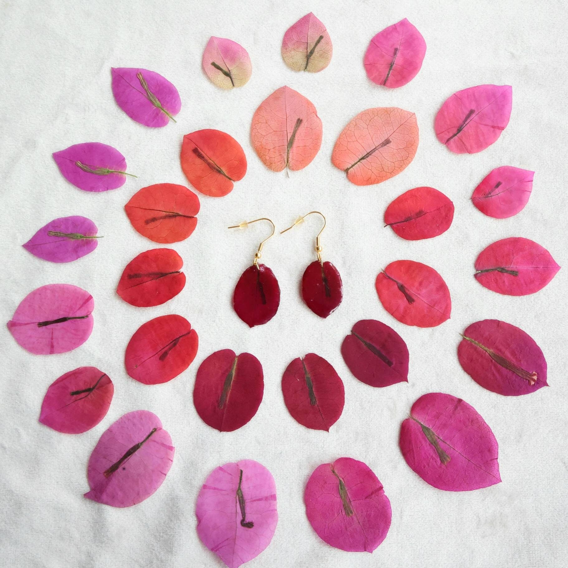 Bougainvillea real flowers leaves earrings resin